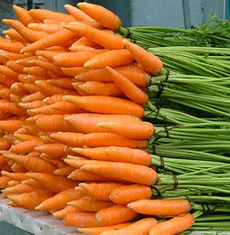 Польза моркови для похудения