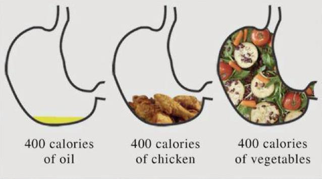Визуальное представление желудка и калорийности пищи